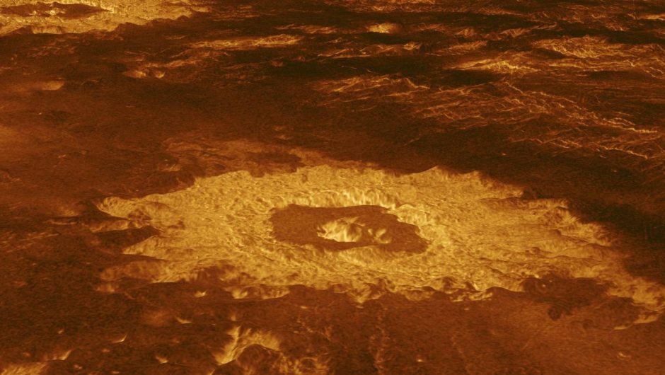 This is what life on Venus might look like – and how we will find it