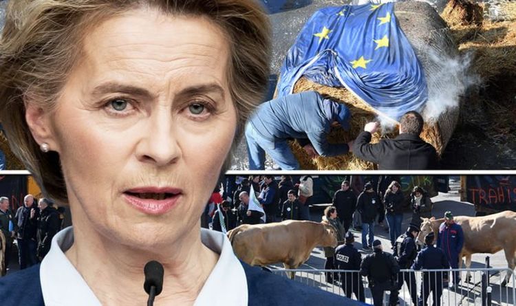 European Union News: Pictures of angry French farmers burning EU flags in anger over trade deal |  The world |  News