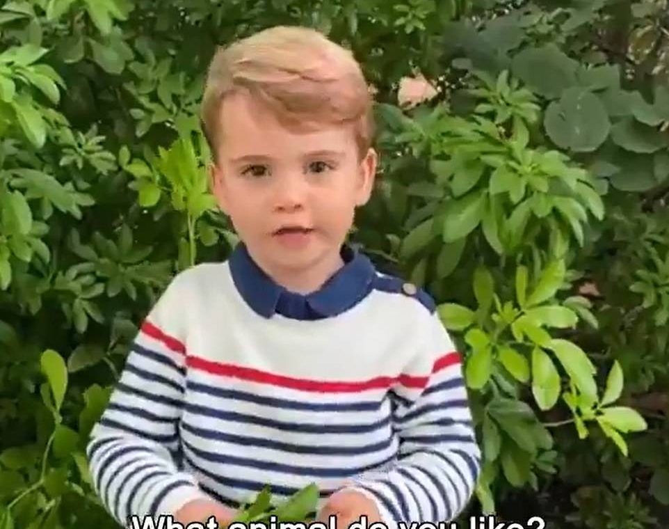Prince Louis (pictured), aged two and a half, can be heard speaking for the first time asking Sir David Attenborough: