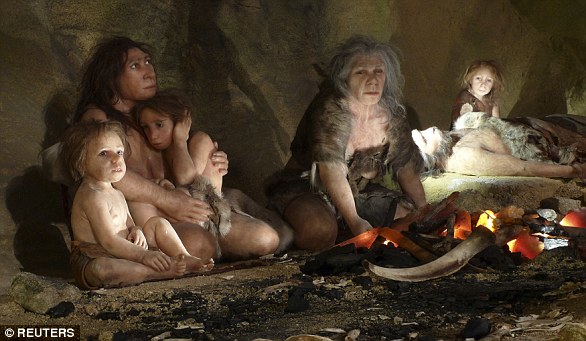 Neanderthals were a close species to humans but not a direct ancestor - the two species separated from a common ancestor - that perished about 50,000 years ago.  Pictured is an exhibition of the Neanderthal Museum