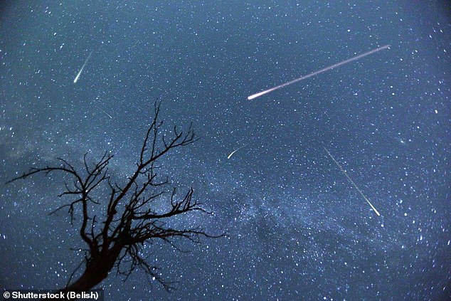 There are expected to be approximately 25 meteor stars visible every hour from October 21 as the Orionids meteor shower peaks in the UK (stock image)