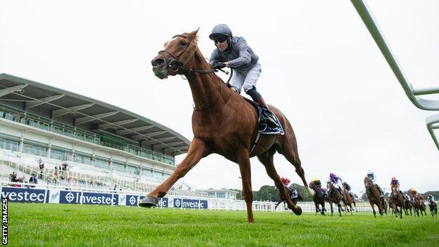 The Serpentine was the unbridled winner of the Epsom Derby in July