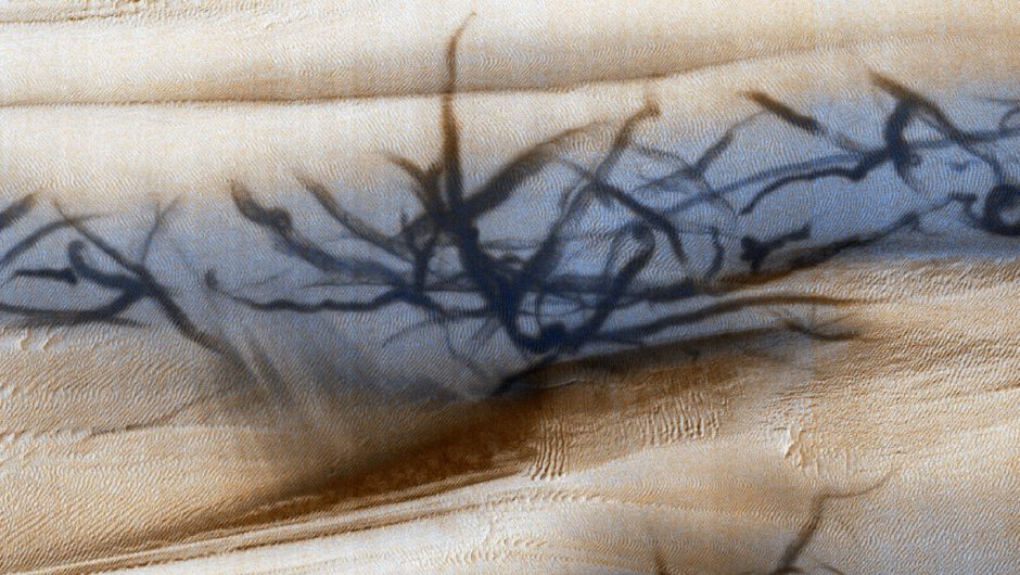Mars dust demons create strange claw-like marks