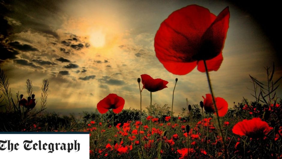 Poppy and ceremonies and why the act of remembering is important