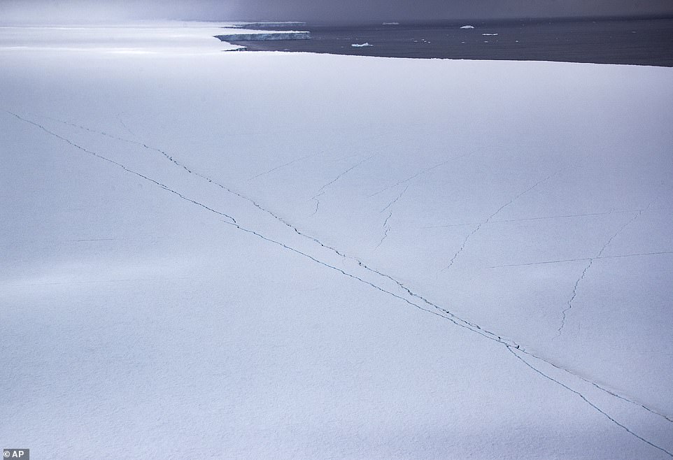 There are now new cracks appearing on the A68a, indicating that it may continue to crumble.  Experts were surprised by their longevity and three-year survival after birth from the Arctic Peninsula