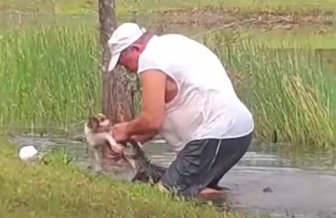 United States of America.  A retiree rescued a puppy from a crocodile's mouth