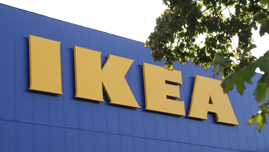 Ikea has bought more than 4000. hectares of forest.  There are 350 species of wildlife
