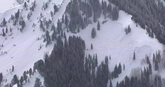 Czterech narciarzy zginęło, a cztery osoby zostały uratowane - w sobotę w zeszła lawina w kanionie Millcreek koło Salt Lake City w amerykańskim stanie Utah.