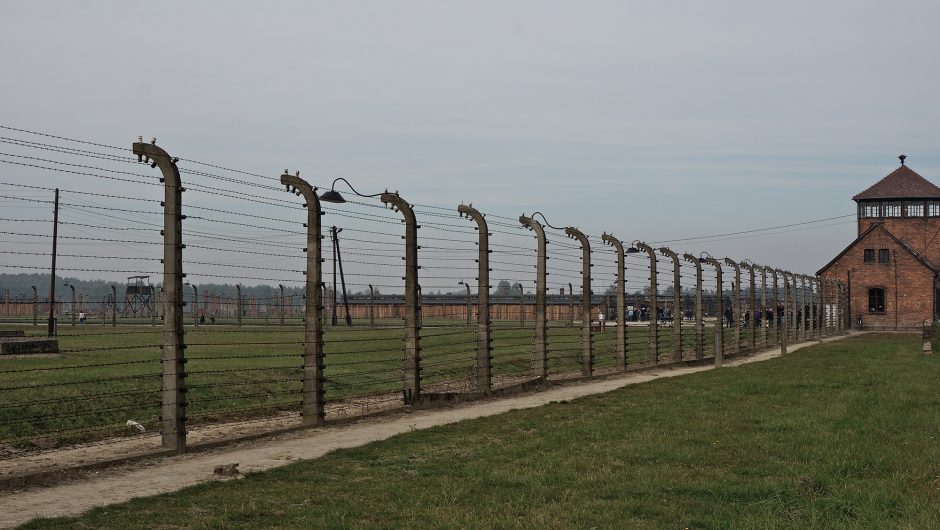 The Auschwitz Museum blew up the New York part of the Holocaust over Poland
