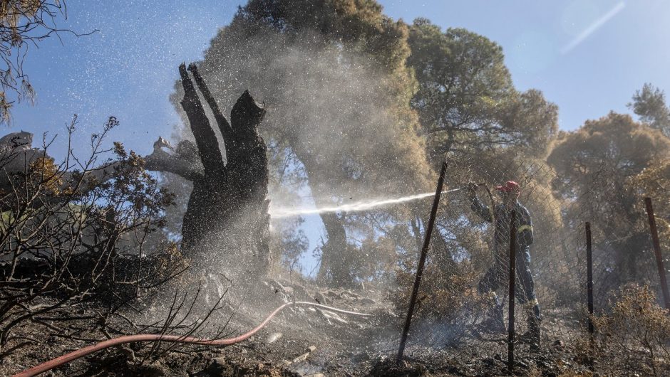 Greece.  Hundreds of firefighters, 16 planes and an army.  Forest fires threaten an environmental disaster |  world News