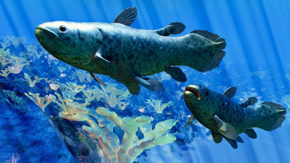 Science.  A fish species that is considered to be extinct was discovered 100 years ago