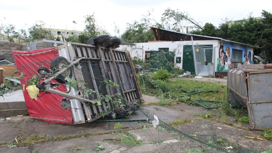 A hurricane hit the Czech Republic zoo.  A shelter almost razed to the ground
