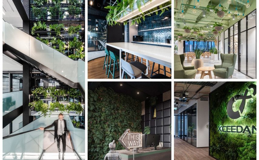 Evergreen in the Office: 10 Biophilic Design Projects
