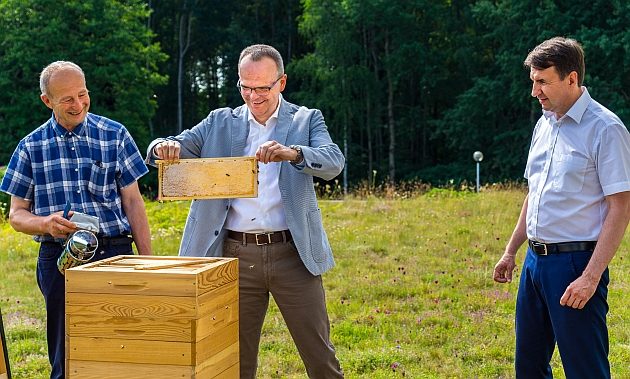 he is here!  The first honey from the university apiary, Science, News Biaystok Online Municipal Portal Biaystok (Bialystok), page 1