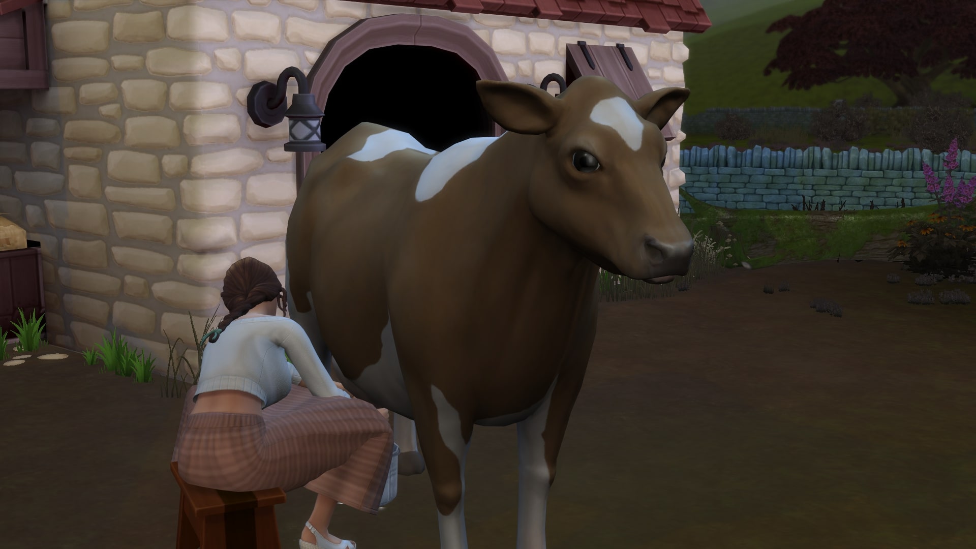 The Sims 4: Rural Idyll - Milking a Cow