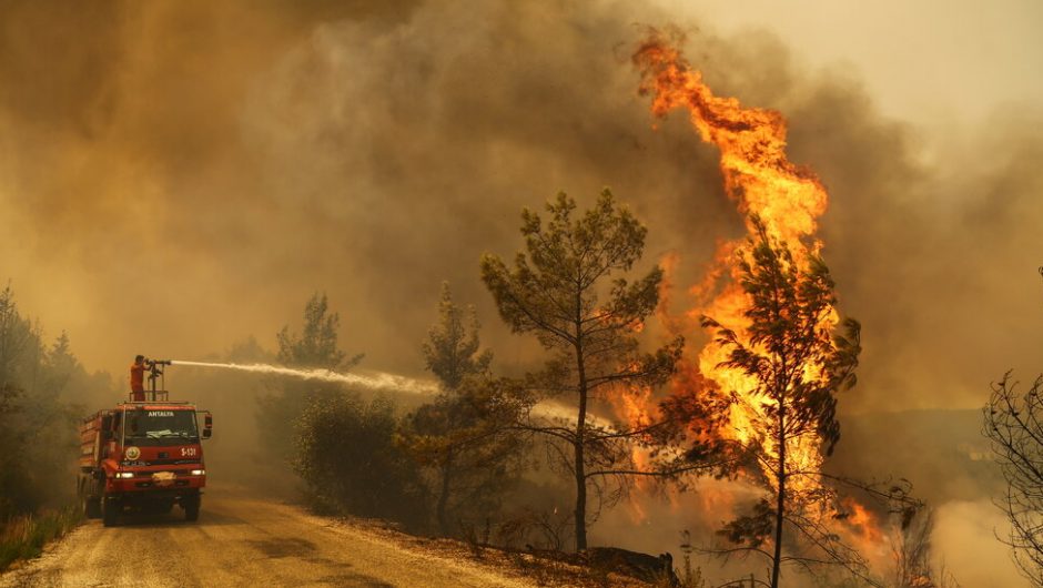 Turkey lies next to forest fires in the Mediterranean countries