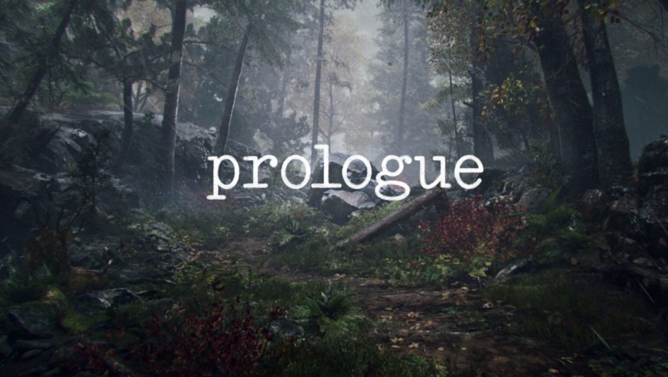 The creator of Prologue reveals what his new game will look like