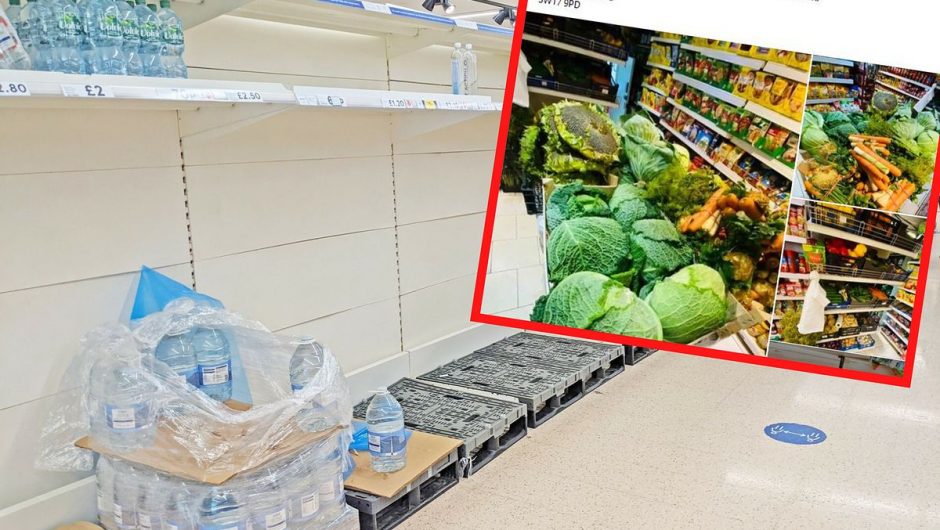 Britain’s exit from the European Union and its surprising impact.  Empty shelves in supermarkets, so the British go to Polish stores
