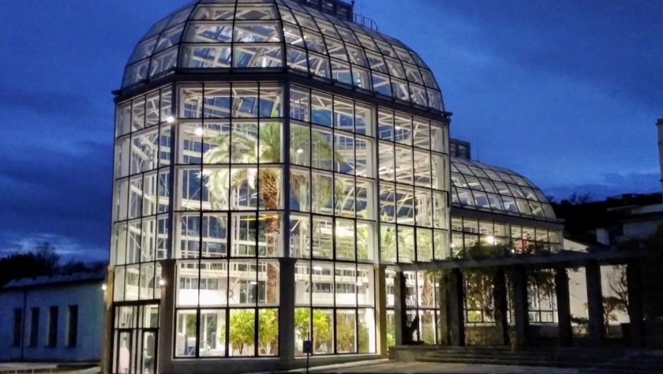Greenhouse reconstruction acknowledged at Jagiellonian University Botanical Garden – News