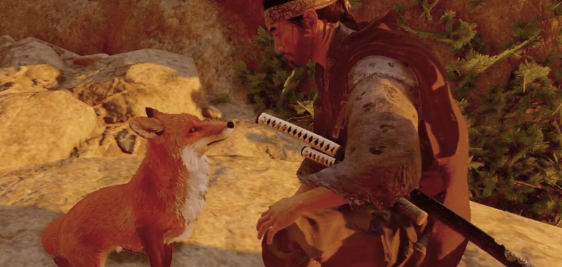Ghost of Tsushima with a surprise update.  Developers focused on improving foxes