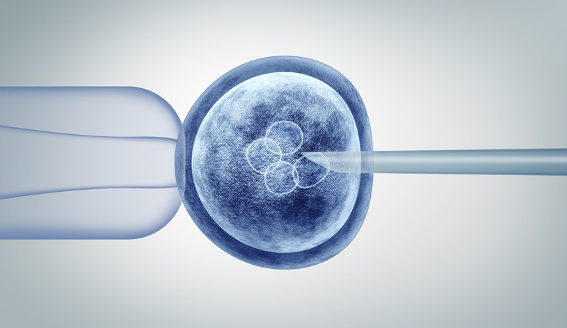 In any lab that allows in vitro fertilization, you can actually edit the genomes of 123RF/PICSEL embryos