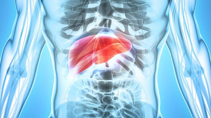 A new liver protection vaccine is being developed at UG