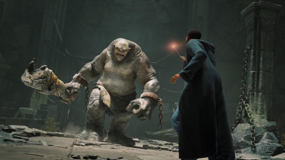 EA was planning to create an MMO around Harry Potter