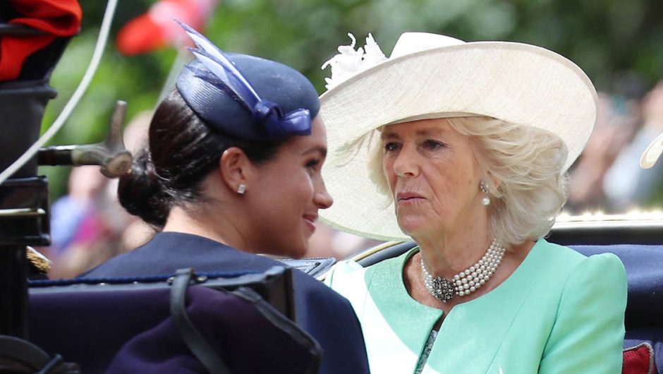 Duchess Camilla took care of Meghan.  She’s happy because she’s always dreamed of it