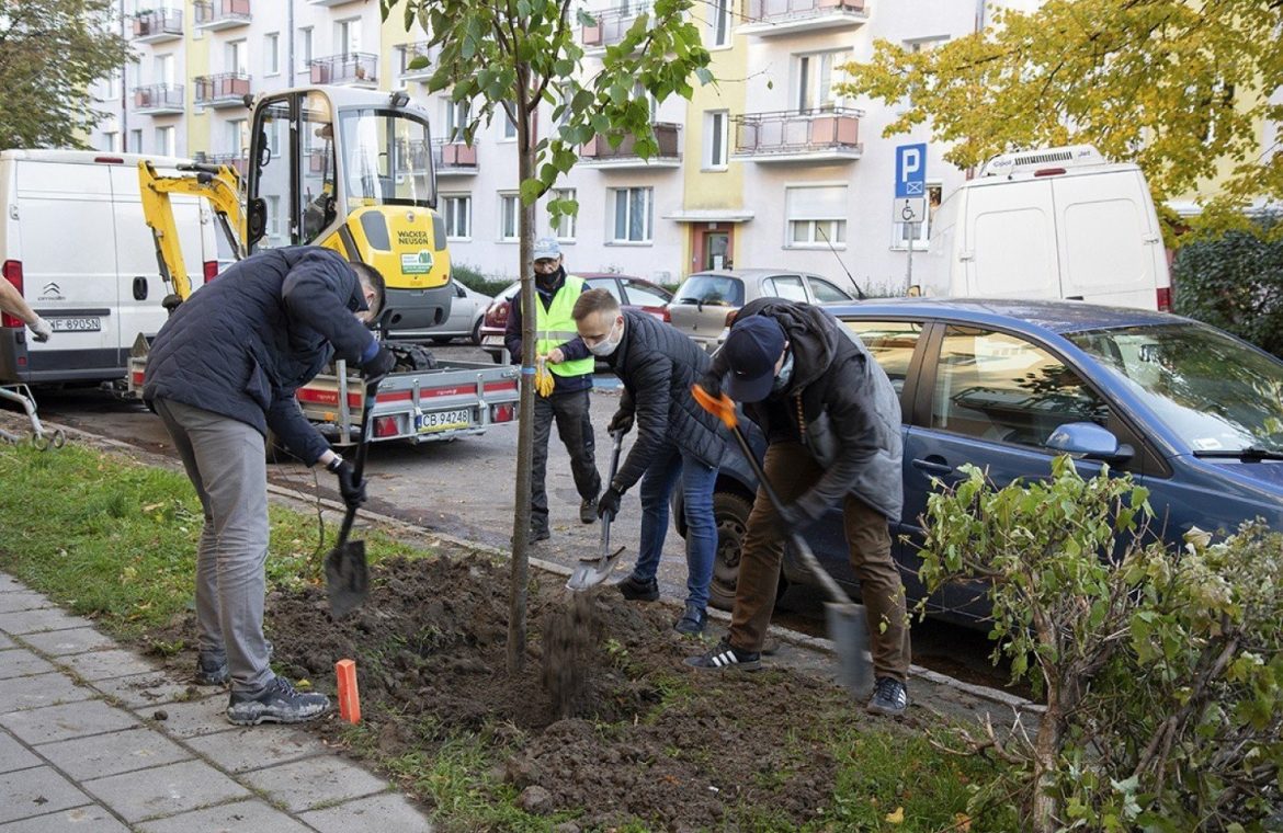 Bydgoszcz.  IMMO encourages you to submit applications for the next Plant Your Tree campaign.  We make the space green!