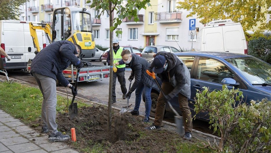Bydgoszcz.  IMMO encourages you to submit applications for the next Plant Your Tree campaign.  We make the space green!