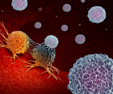 Antibodies that destroy cancer stem cells have been discovered