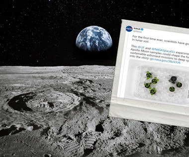 managed to!  Scientists first grew plants in lunar soil