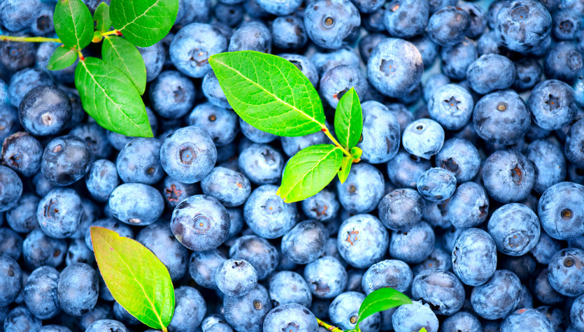 Wonderful properties of blueberries.  It protects against dementia