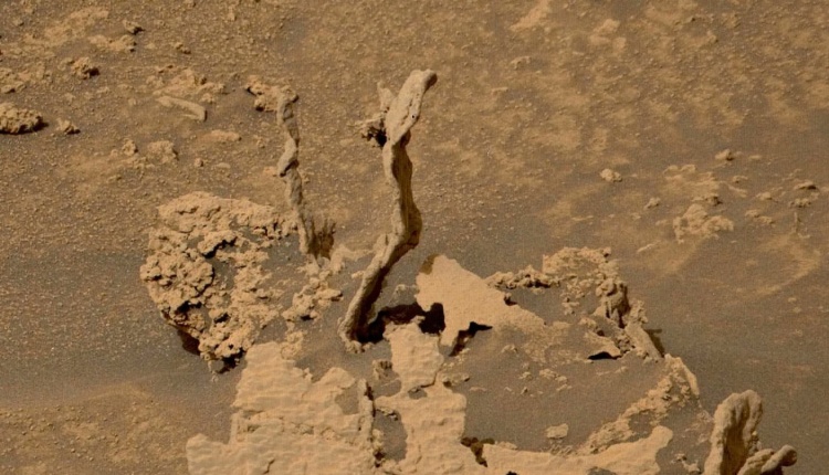 NASA's rover has uploaded an image of Mars.  What he seized surprised the scientists