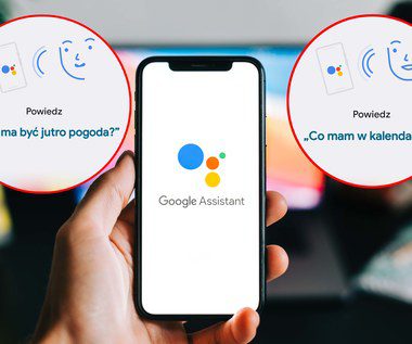 How do I turn off the Google Assistant on my phone?  This way you will prevent "ok google"