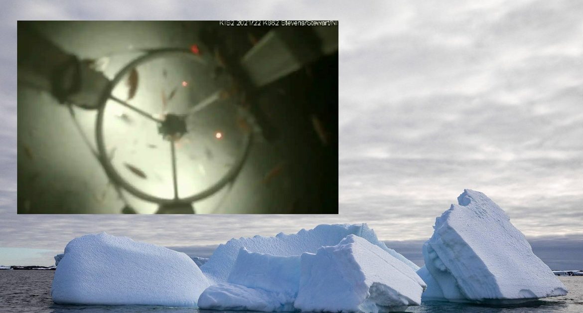 An exciting discovery in Antarctica.  The hidden world was 500 meters under the ice