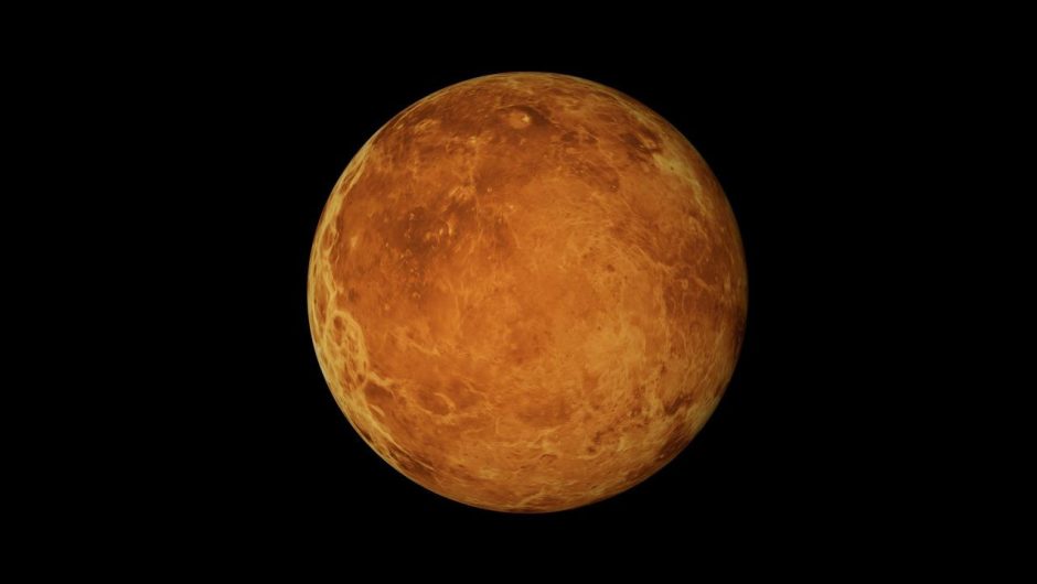 Is there life on Venus?  Search results for two years