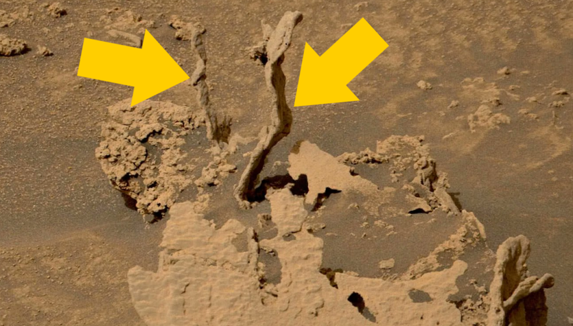 The Curiosity rover has found strange rocks on the surface of Mars