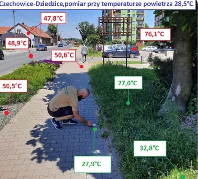 Temperatures measured in the city park and sidewalk are about 30 and 50 °C, respectively, with an air temperature of about 29 °C / Czechowiczanie dla natura / Facebook