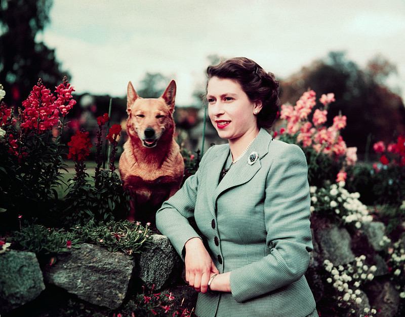 No one had ever seen a queen like this.  Elizabeth II participated