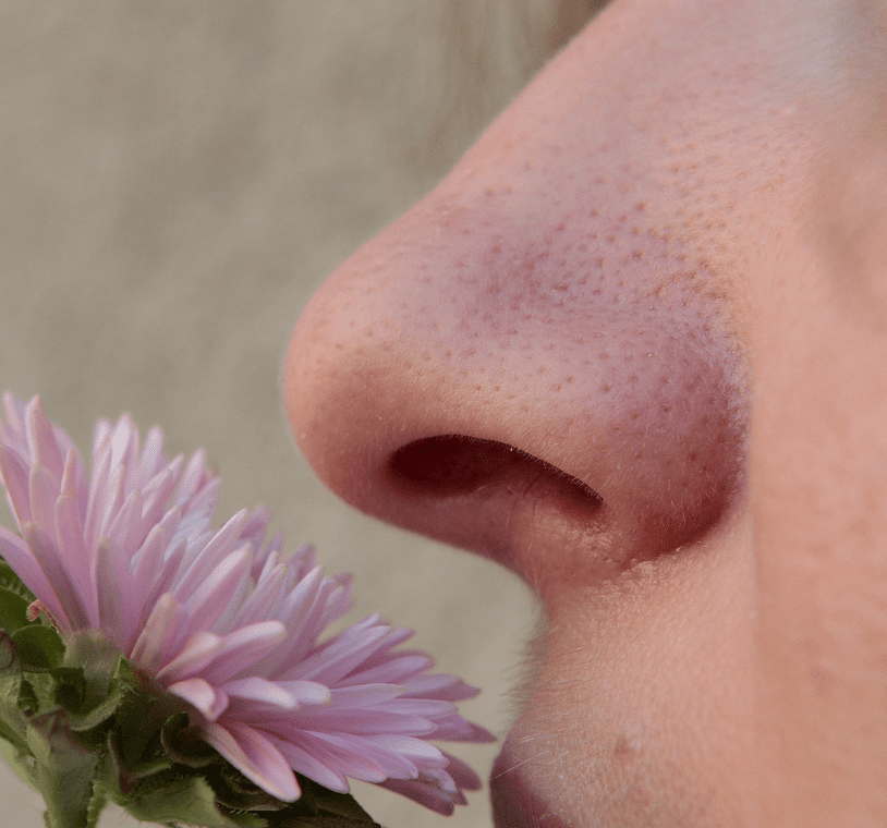 Similar smell means more chance for friendship