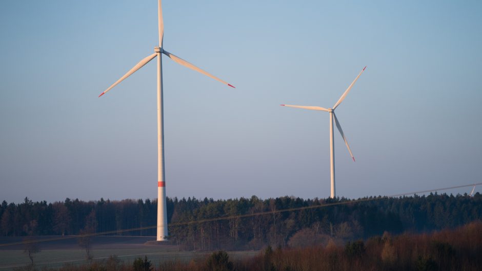 Protecting species in Bavaria: How lawsuits delay wind power expansion