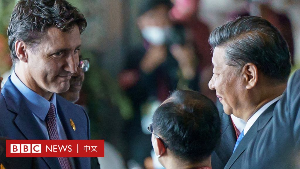 Trudeau 'taken advantage of' Xi Jinping: China-Canada relations reflected in rare video of G20 summit in Indonesia - BBC News English 中文